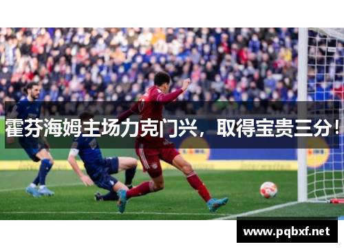 霍芬海姆主场力克门兴，取得宝贵三分！