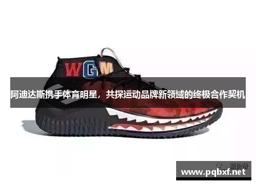 阿迪达斯携手体育明星，共探运动品牌新领域的终极合作契机