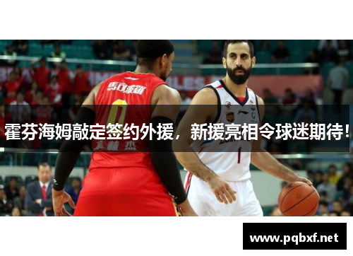 霍芬海姆敲定签约外援，新援亮相令球迷期待！