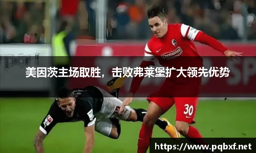 美因茨主场取胜，击败弗莱堡扩大领先优势