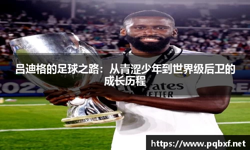 智博19