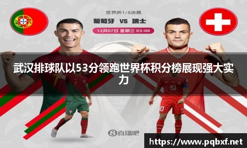智博19