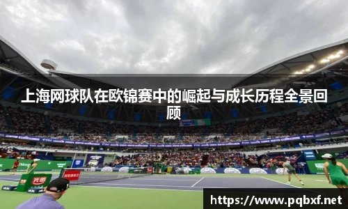 智博19有限公司
