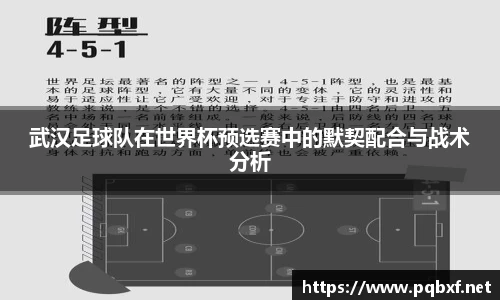 智博19有限公司