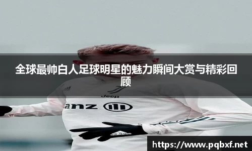 智博19有限公司