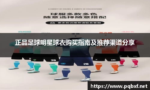 智博19有限公司