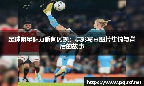 智博19有限公司